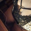 Honolulu Female Escorts