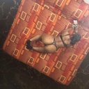 Los Angeles Female Escorts