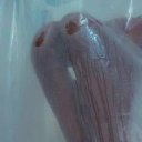 Macon Female Escorts