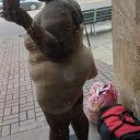 Gainesville Female Escorts