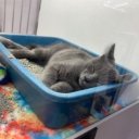 Harrisburg Female Escorts