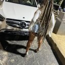 Jonesboro Female Escorts