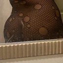 Savannah Female Escorts