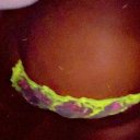 Jacksonville Female Escorts