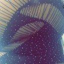 Buffalo Female Escorts