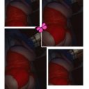 Chattanooga Female Escorts