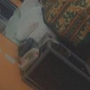 Queens Female Escorts