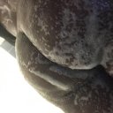 Ocala Female Escorts