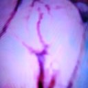 Dallas Female Escorts