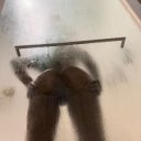 Macon Female Escorts