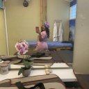 San Antonio Female Escorts