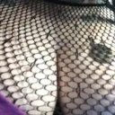 Tacoma Female Escorts