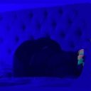 Lexington Female Escorts