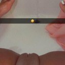 Sarasota Female Escorts