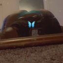 Brunswick Female Escorts