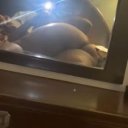 Sarasota Female Escorts