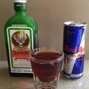 Austin Female Escorts